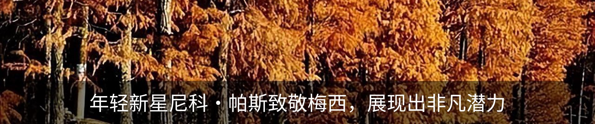 新闻中心